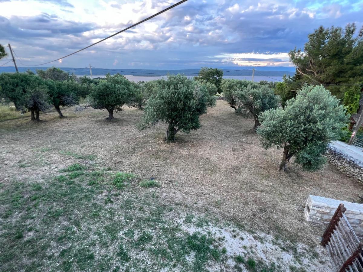 Podgora Experience With Jacuzzi Appartement